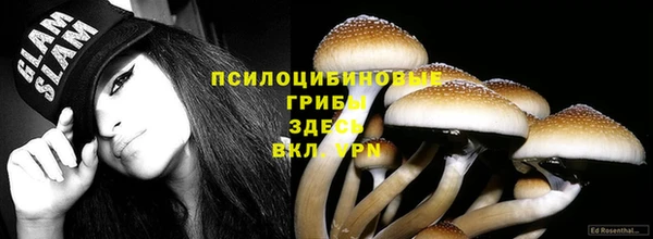стафф Алексеевка