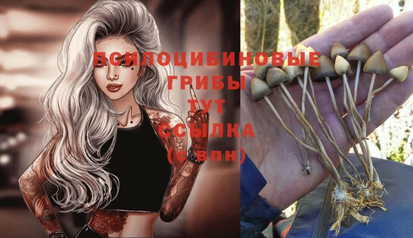 дурь Алексин