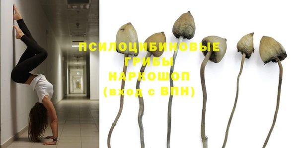 дурь Алексин