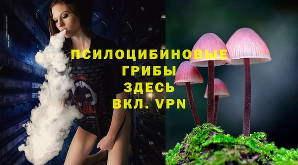 стафф Алексеевка
